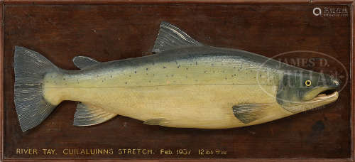 SALMON TROPHY FISH CARVING ON PLAQUE.