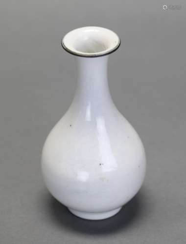 Chinese porcelain bottle vase, Qing dynasty