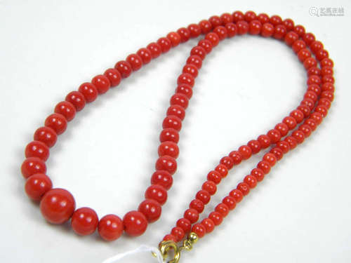 Natural Red Coral Necklace with gold Bale