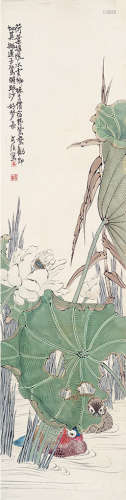 朱文侯（1895～1961） 鸳鸯 立轴 设色纸本