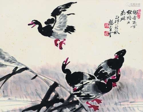 杨襄云（1910～1978） 秋雁南回 镜片 设色纸本
