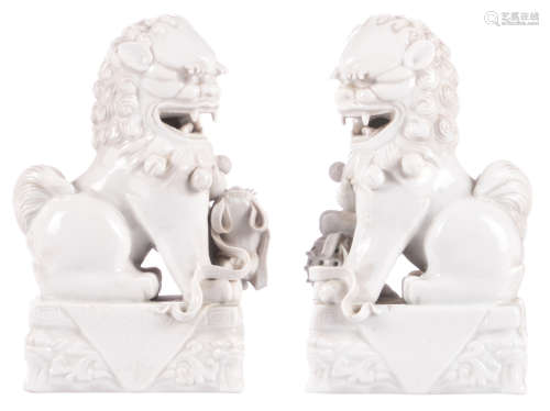 A pair of Fu lions in so-called blanc de Chine, H 20,5 cm