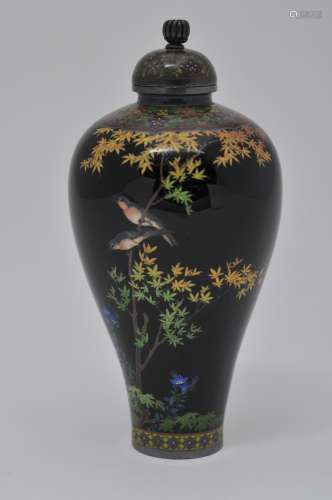 Cloisonne covered jar. Japan. Signed Namikawa Yasuyuki (1845-1927). Silver wire work. Decoration of birds in a maple tree with flowers on a midnight blue ground. Brocade borders. Silver mounts. 5