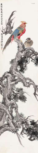 柳滨（1887～1945） 1937年作 锦鸡图 立轴 设色纸本