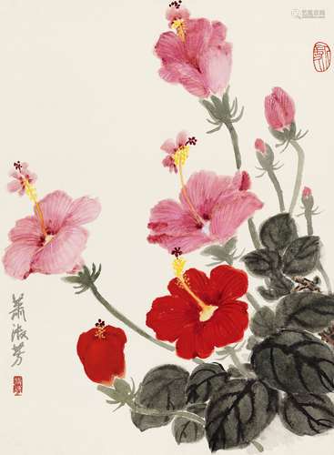 萧淑芳（1911～2005） 扶桑花 镜心 设色纸本