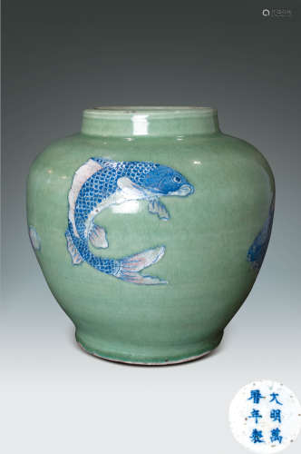 明 綠地青花釉魚紋罐（大明萬曆年製）款