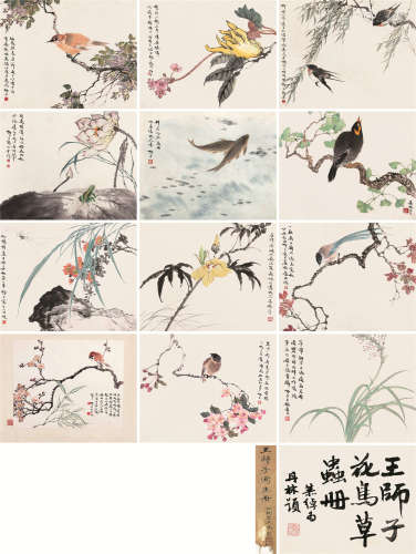 王师子（1885～1950） 花鸟草虫写生册 册页 （十二开） 设色纸本