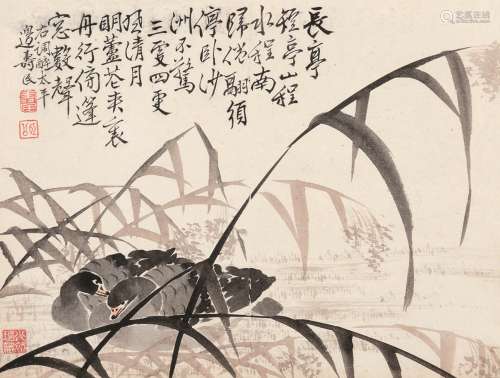 边寿民（1684～1752） 芦雁 镜片 设色纸本