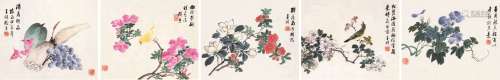 张熊（1803～1886） 花卉 册页 （五开） 设色纸本