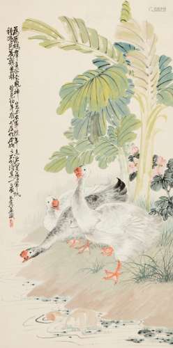 朱文侯（1895～1961） 蕉荫群鹅图 立轴 设色纸本