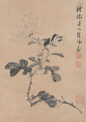 陈鸿寿（1768～1822） 菊花 立轴 水墨纸本