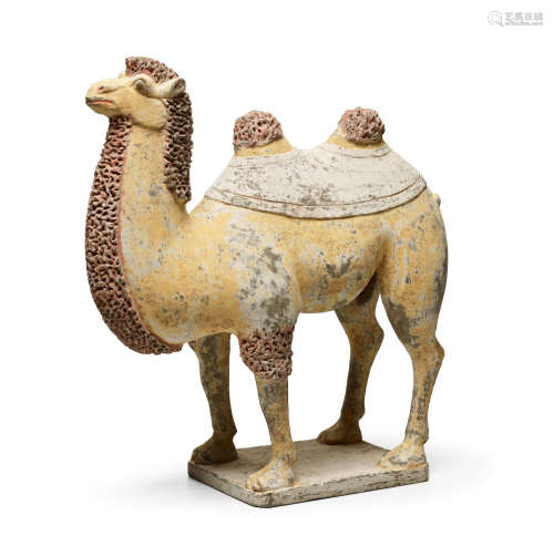 Northern Qi/early Tang dynasty A PAINTED GRAY POTTERY FIGURE OF A BACTRIAN CAMEL
