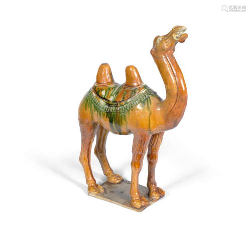 Tang Dynasty  A sancai-glazed pottery model of a camel