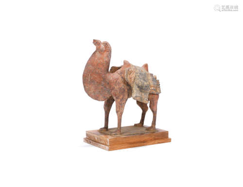 Tang Dynasty A pottery model of a camel