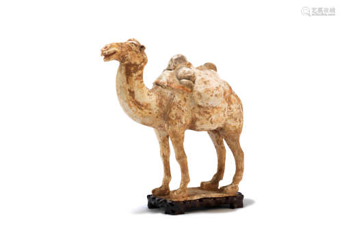 Tang Dynasty A pottery model of a camel
