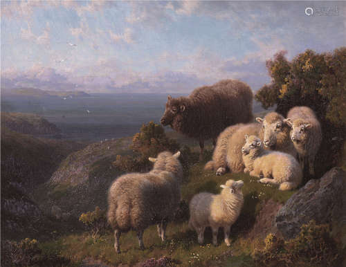 威廉R.C华森（1830～1921） 清晨山崖边的绵羊群 布面油画