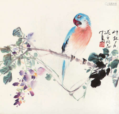 萧 朗（1917-2010） 鹦鹉 纸本设色 镜心
