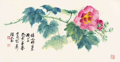 谢稚柳（1910-1997） 芙蓉花 纸本设色 镜心