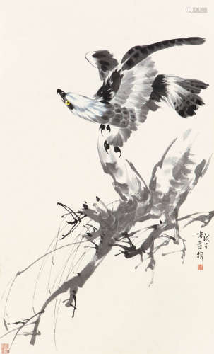 张书旂（1900-1957） 鹰 纸本设色 立轴