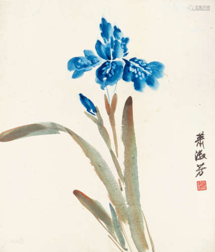 萧淑芳（1911-2005） 鸢尾 纸本设色 镜心