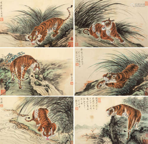 张善孖（1882-1940） 虎 纸本设色 册页