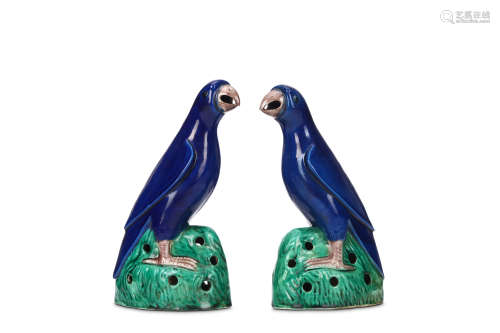 A PAIR OF BLUE GROUND PARROTS. Qing Dynasty, Kangxi era. Modelled in mirror image perched on pierced