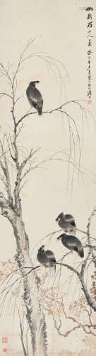 江寒汀（1903～1963） 八哥 立轴 设色纸本