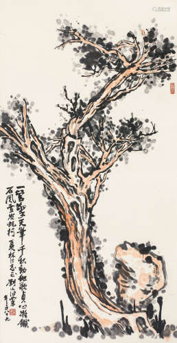 刘海粟（1896～1994） 柏苍 镜心 设色纸本