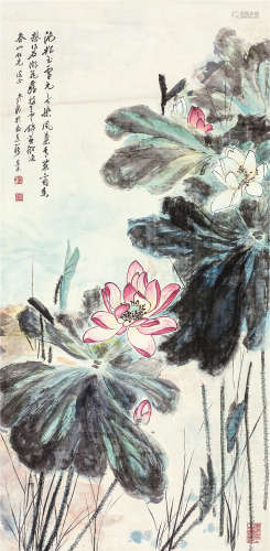 晏济元（1901～2011） 荷花 镜心 设色纸本