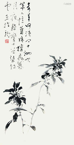 王雪涛 “指甲草”花卉