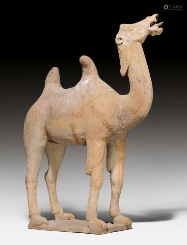 A STANDING TERRACOTTA CAMEL.