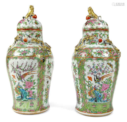 A PAIR OF PORCELAIN VASES AND COVER DEPICTING BIRDS AND FLOWERS IN RESERVES