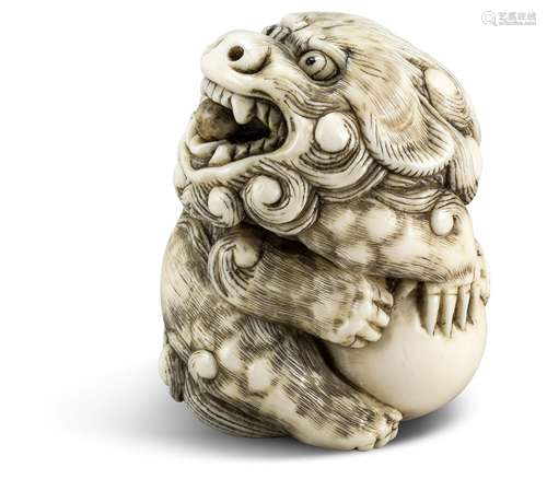 NETSUKE: SHISHI MIT BALL. Japan. Edo-Zeit. 19. Jh. Kyûshû. Mitsuhara zugeschrieben. Elfenbein mit