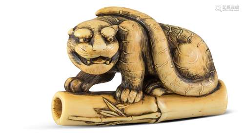 NETSUKE: TIGER AUF BAMBUS. Japan. Edo-Zeit. Spätes 18. Jh. Kyôto-Schule. Elfenbein mit goldgelber