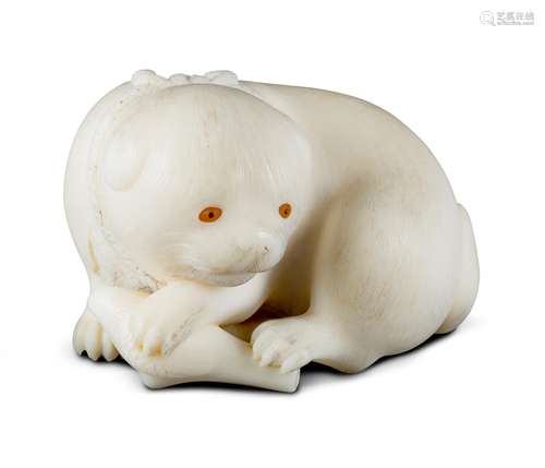 NETSUKE: WELPE MIT HALSBAND. Japan. Edo-Zeit. Mitte 19. Jh. Welpe mit Stummelschwänzchen, Kopf