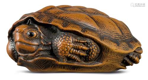 NETSUKE: SCHILDKRÖTE. Japan. Edo-Zeit. Anfang 19. Jh. Schildkröte, kaum sichtbar unter ihrem Panzer,