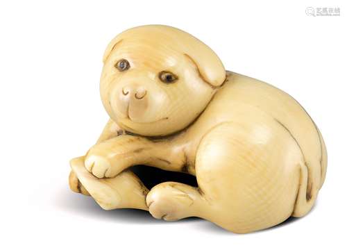 NETSUKE: HÜNDCHEN. Japan. Edo-Zeit. Um 1800. Elfenbein mit schöner goldgelber Gebrauchspatina, die