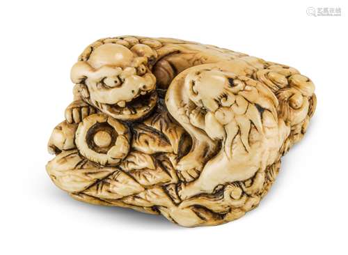 NETSUKE: SHISHI MIT JUNGEM. Japan. Edo-Zeit. 18. Jh. Elfenbein expressiv geschnitzt mit dunkel