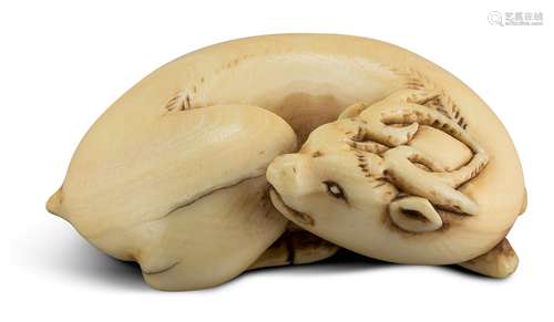 NETSUKE: DAMHIRSCH. Japan. Edo-Zeit. 18. Jh. Elfenbein mit fein geschnitztem Geweih. Schöne, weiche,