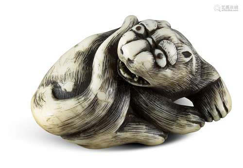 NETSUKE: LIEGENDER TIGER. Japan. Meiji-Zeit. 19. Jh. Ôsaka Schule. Elfenbein mit fein gravierten und