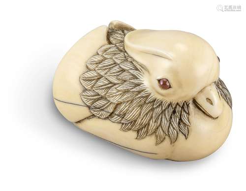 NETSUKE: MANDARINENTE. Japan. Edo-Zeit. Um 1800. Elfenbein, die Augen eingelegt aus Bernstein.