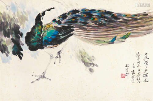 袁晓岑（1915～2008） 1977年作 孔雀 镜片 纸本