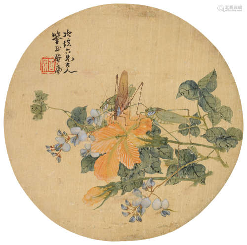 居廉（1828～1904） 纺织娘 镜片 设色绢本