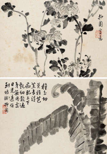 李方膺（1697～1756） 菊花芭蕉 （两帧） 镜片 水墨纸本