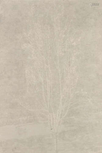 韩冬 2016年作 春天的桃树之一 皮纸水墨