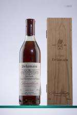 Bouteille de Cognac Delamain très vieille réserve n°005545