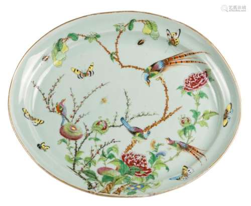 A Chinese oval celadon ground famille rose decorated plate with birds on flower branches and insects, H 5,5 - W 40 - L 47 cm