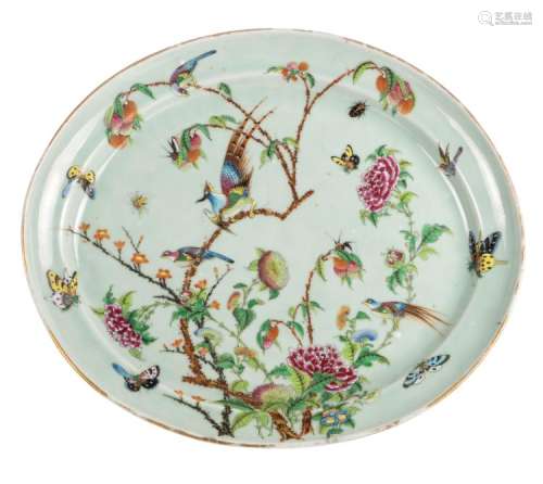 A Chinese oval celadon ground famille rose decorated plate with birds on flower branches and insects, H 5,5 - W 44 - L 50 cm