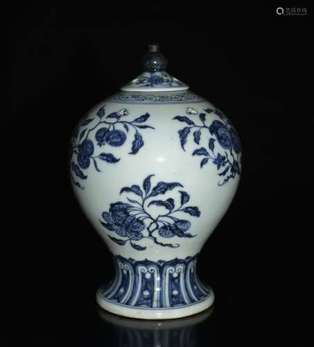 Chinese Blue/White Porcelain Covered Jar