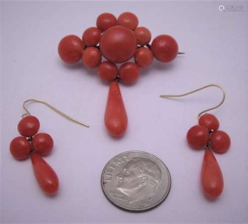 Natural Coral Brooch & Earrings With 14kg Ear Hook